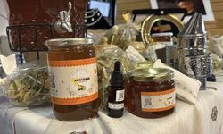 Yenice ıhlamur balı dünya pazarına çıkıyor