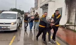 Adana'da atlara eziyet edenlere emsal karar: Barınak temizleyecekler!