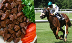 Mersin'de akılalmaz skandal: belediye aşevinin kavurmasından 'şampiyon yarış atı' çıktı!