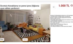 Ankara'da ilginç ilan: "Kira ödeme, oğlumla oyun oyna"