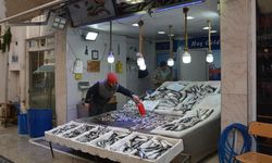 Ramazan bereketi balık tezgahlarına yansıdı