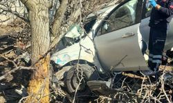 Aydın'da feci kaza: Kontrolden çıkan araç ok gibi saplandı