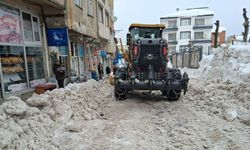 Ordu’da kar ve buzlanma nedeniyle 2 ilçede eğitime ara verildi