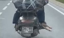 Bakırköy'de motosiklette mide bulandıran gıda terörü