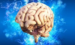 Bilim kurgu gerçek oluyor: Dondurulan beyin dokusu çözüldükten sonra yeniden çalıştı!