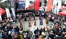 Bodrum'da 7. Acı Ot Festivali binlerce kişiyi ağırladı