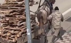 Bursa'da vicdan sızlatan görüntü: Yük altında ezilen at yürek burktu!