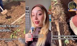 Şırnak'ta görev yapan doktordan tepki çeken paylaşım: Tıp fakültesini seçerken mezar açacağım aklıma gelmezdi