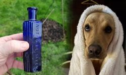 Labrador köpeği 160 yıllık meşhur cinayeti çözdü! Şişeden çıkan şoke etti