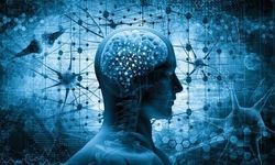 Bilim kurgudan gerçeğe dönüyor: Dondurulan beyin dokusu uyandırıldı