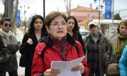 Edirne'de ağaçların sert budanmasına tepki yağdı