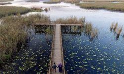 Kar sularıyla dolan Efteni Kuş Cenneti Gölü, göç yolundaki misafirlerini ağırlıyor