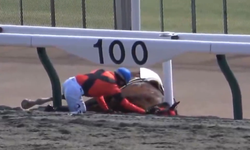 Jokeyin kendisi de yaralıydı ama ilk koştuğu atı oldu