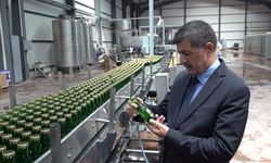 Erzincan Ekşisu Doğal Maden Suyu artık coğrafi işaret tescilli