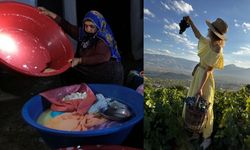 Erzincan Tulum Peyniri ve Cimin Üzümü dünya listesinde!