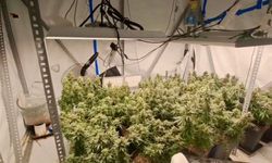 Evleri seraya, tuvaletleri laboratuvara çevirmişler: 36 gözaltı