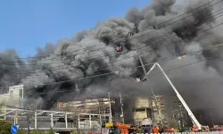 Güney Kore'de otomobil fabrikasında yangın: Onlarca kişi yaraşandı