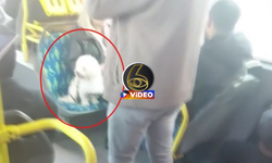 Metrobüste köpek koltuğa oturdu, tartışma çıktı! | VİDEO