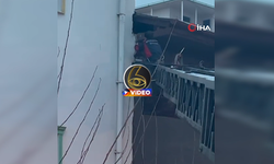 Takıldığı ipte asılı kalan güvercin kurtarıldı! I VİDEO