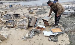 Hakkari'de tek geçim kaynağı arıcılık olan çiftçi zora girdi: Selde 150 kovanı zarar gördü