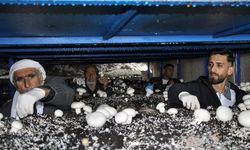 Mağaradan geçim kapısı