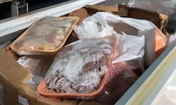 İnsan sağlığını hiçe saydılar: Son kullanma tarihi geçmiş ve bozuk et satan kasap mühürlendi