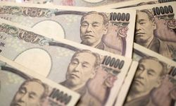 Japonya'da 31 yılın zirvesi: Faiz oranları sabit kaldı
