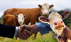 Kurban Bayramı 2026 ne zaman, hangi tarihte? Kurban Bayramı tatili 9 gün olacak mı? İşte 2026 bayram takvimi!