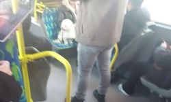 Metrobüste köpeğin koltukta oturduğu anlar kameraya yansıdı
