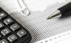 Sosyal medya mezatlarına Maliye baskını: Müfettişler müşteri kılığına girip 500 milyonluk vurgunu deşifre etti