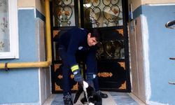 Tekirdağ Muratlı'da gaz borusunda mahsur kalan kedi kurtarıldı