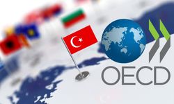 OECD'den Türkiye raporu: Büyüme ve enflasyon tahminleri revize edildi