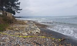 Ordu Ünye'de kıyıya İDA vurdu! Ekipler incelemeye başladı