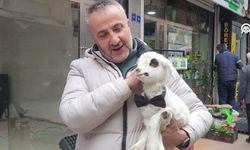 Samsun'da yürekleri ısıtan dostluk! Kuzusuyla birlikte yaşıyor