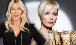 Seda Sayan ve Ömür Gedik "kedi çişi" kavgası nedir? Ömür Gedik'in evinde kaç kedi var? "Gelme o zaman" polemiğinin perde arkası!