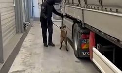 Sınırda beyaz eşya tırında kokain operasyonu