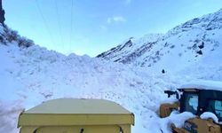 Şırnak'ta çığ dehşeti: 40 yolculu otobüs karlar altında kaldı!