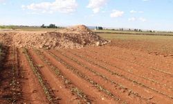 Tarım arazilerindeki izinsiz yapıların sahiplerine ceza