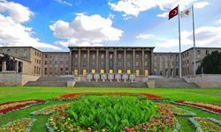 TBMM sahipsiz kediler için yaşam alanı kurdu