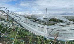 Mersin'de dolu ve fırtına tarım alanlarını vurdu