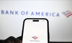 Bank of America, Epstein mağdurlarına 72,5 milyon dolar ödeyecek