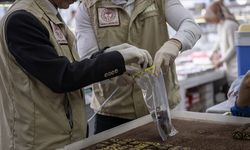 Şubatta kaç denetim yapıldı? Bakan İbrahim Yumaklı açıkladı