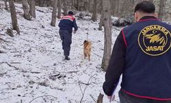 10 yıl sonra gerçek ortaya çıktı! Cinayeti sigara izmariti çözdü