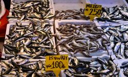 Trabzon'da istavrit ve mezgit tezgahların gözdesi