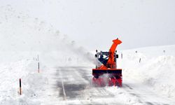 İki mevsim birden yaşanıyor: Batı'da bahar Doğu'da 2 metre kar! 5 ilde 44 köy yolu kapandı