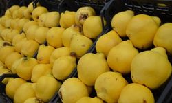 Üretim düştü, fiyat arttı: Ayvanın kilosu 300 TL'den satılıyor