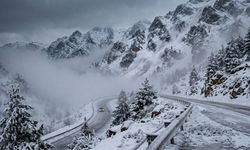 Üşümeye devam edeceğiz! Meteoroloji'den çığ ve don uyarısı!