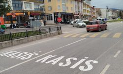 Uzman isimden trafikte hayat kurtaracak uyarı! Belediyelere çağrı yaptı