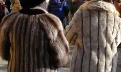 AB’de kürk tartışması: "Yasak" yerine “standart” geliyor