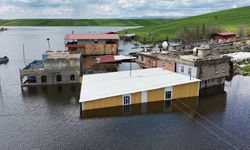 Diyarbakır'da baraj kapakları açıldı: 10 ev sular altında kaldı